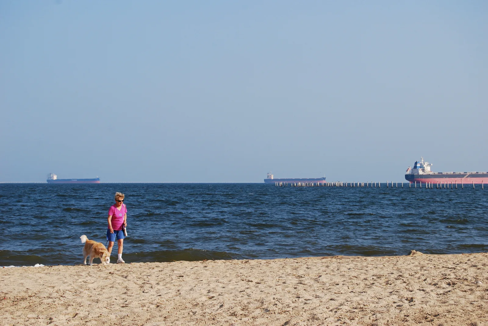 A woman walks her dog along the Chesapeake Bay beach at First Landing State Park in Virginia Beach as ships wait offshore.