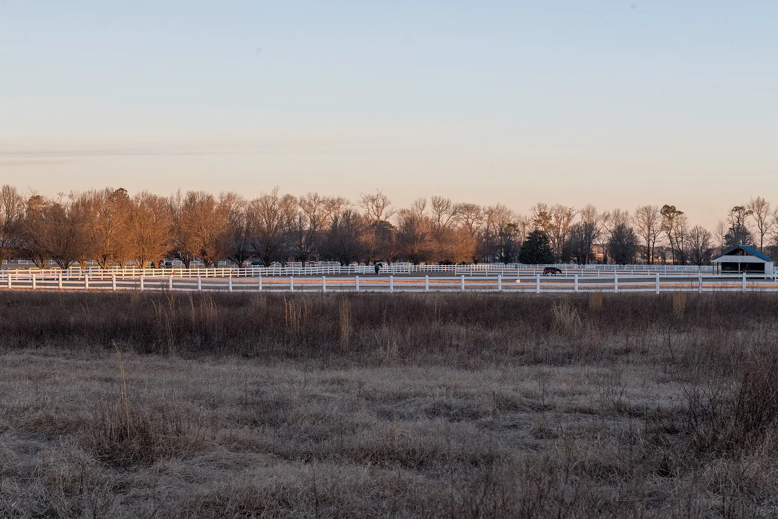 Horse pastures at the intersection of Princess Anne Road and Indian River Road in Pungo.