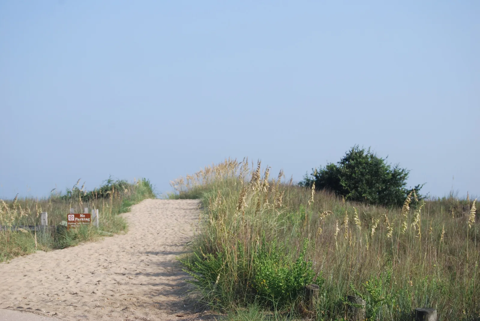 A sandy path through the dunes and sea oats at First Landing State Park on the Chesapeake Bay in Virginia Beach.