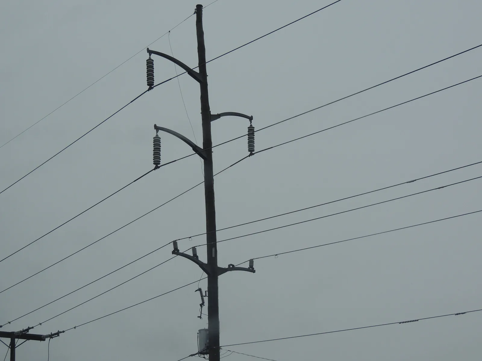 A Dominion Energy pole carrying 115-kilovolt transmission and 34.5-kilovolt lines in Virginia Beach on a rainy day.