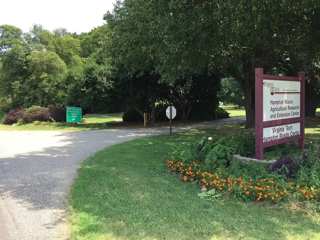 Diamond Springs Road at Virginia Tech's Hampton Roads Agricultural Research and Extension Center in Virginia Beach.