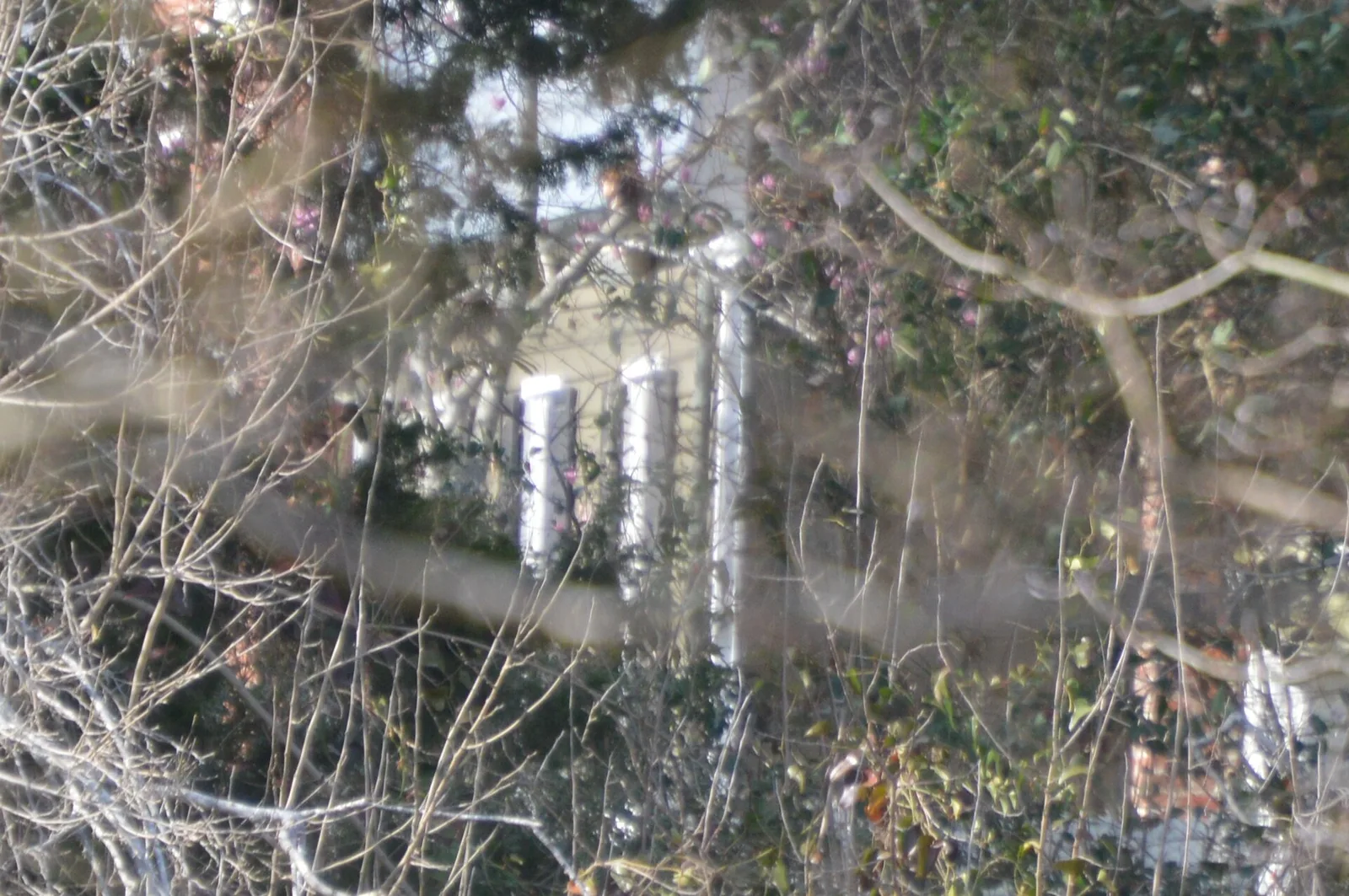 Green Hill, a house built in 1791, seen through the trees off Green Hill Road in Virginia Beach.