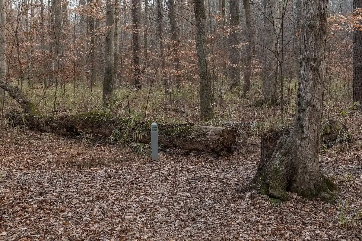 The West Neck Creek Natural Area in Virginia Beach.