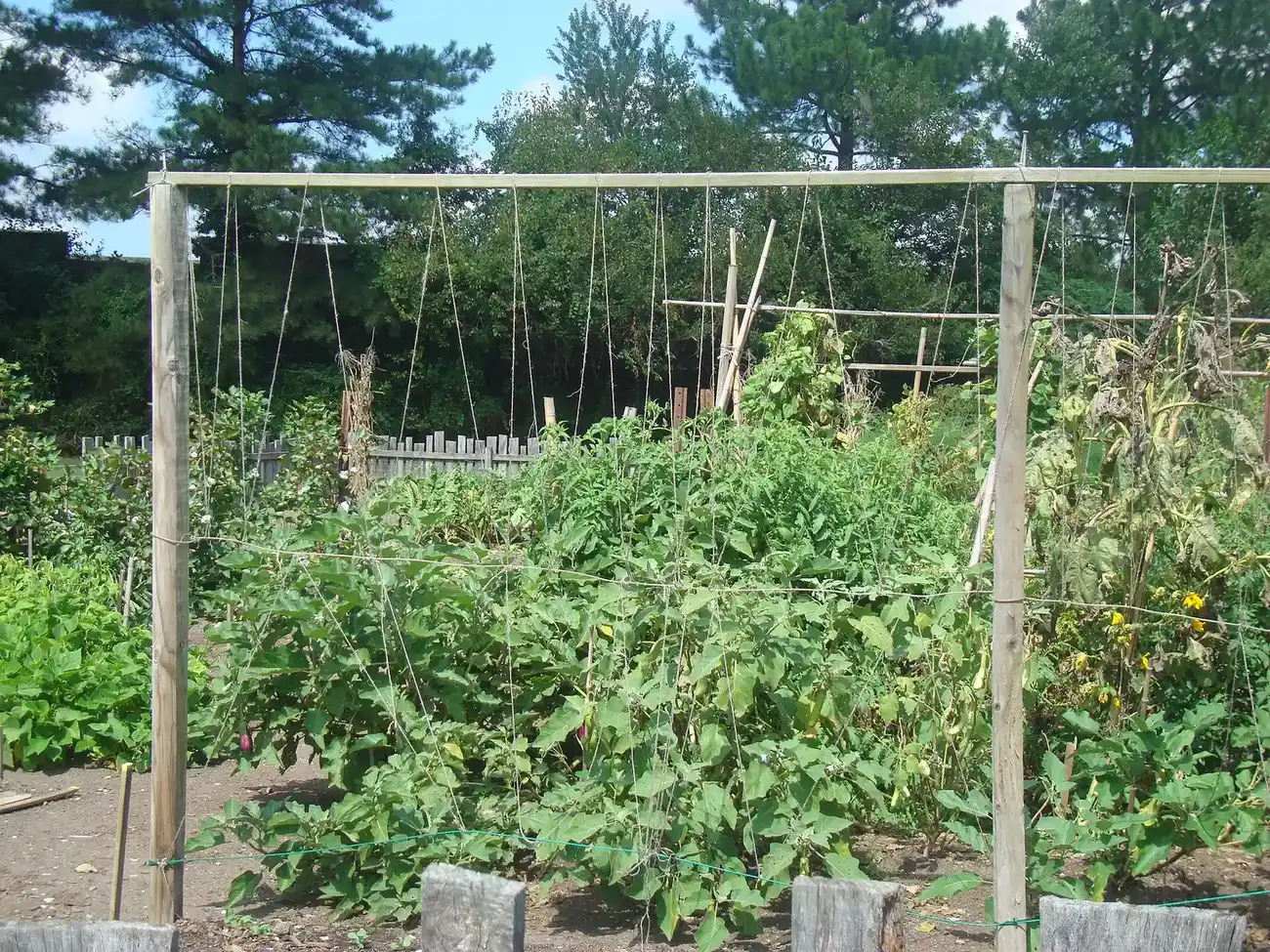 The garden at the Francis Land House on Virginia Beach Boulevard.