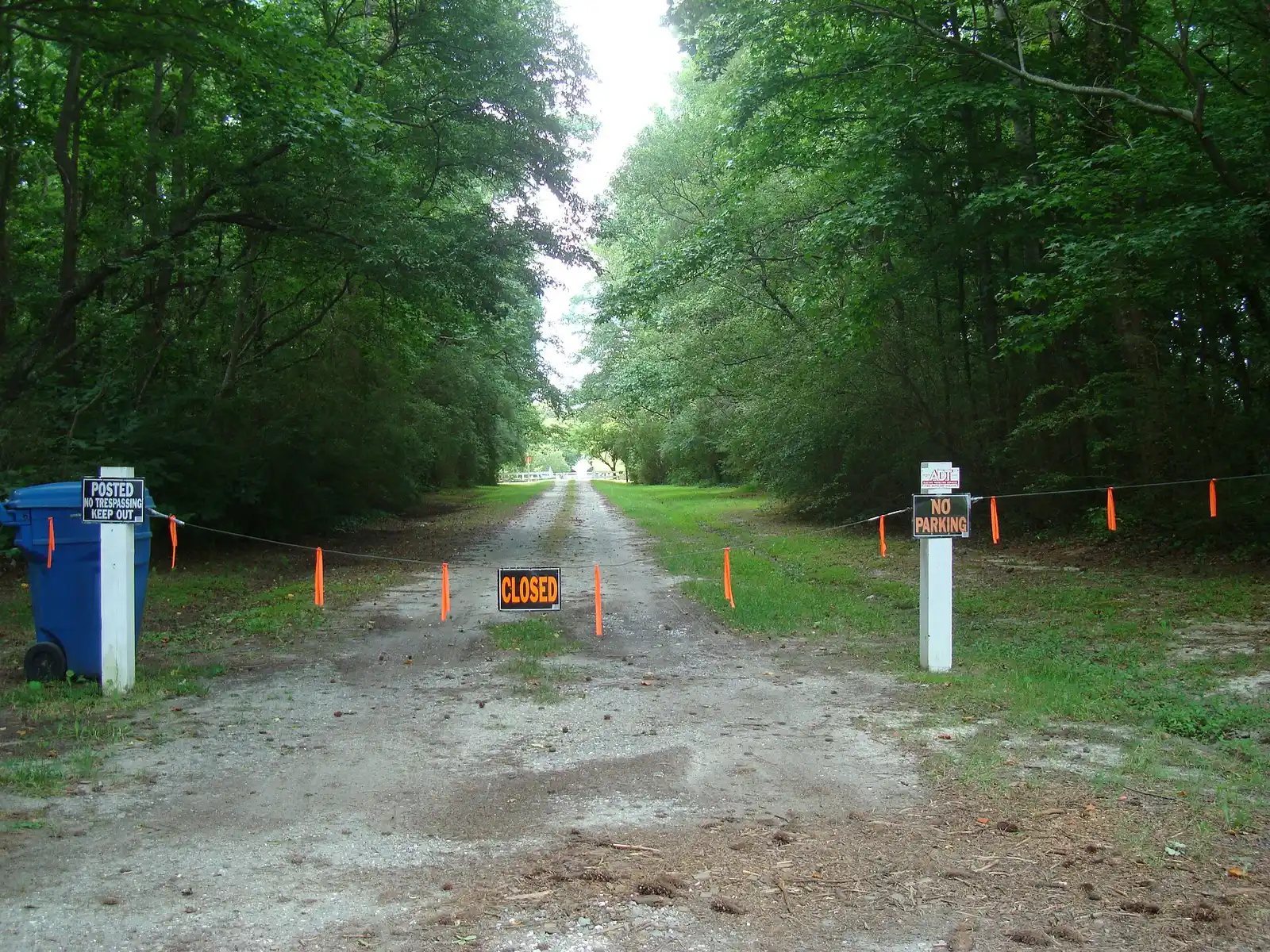 The road to Upper Wolfsnare, a historic house on Potters Road in Virginia Beach.