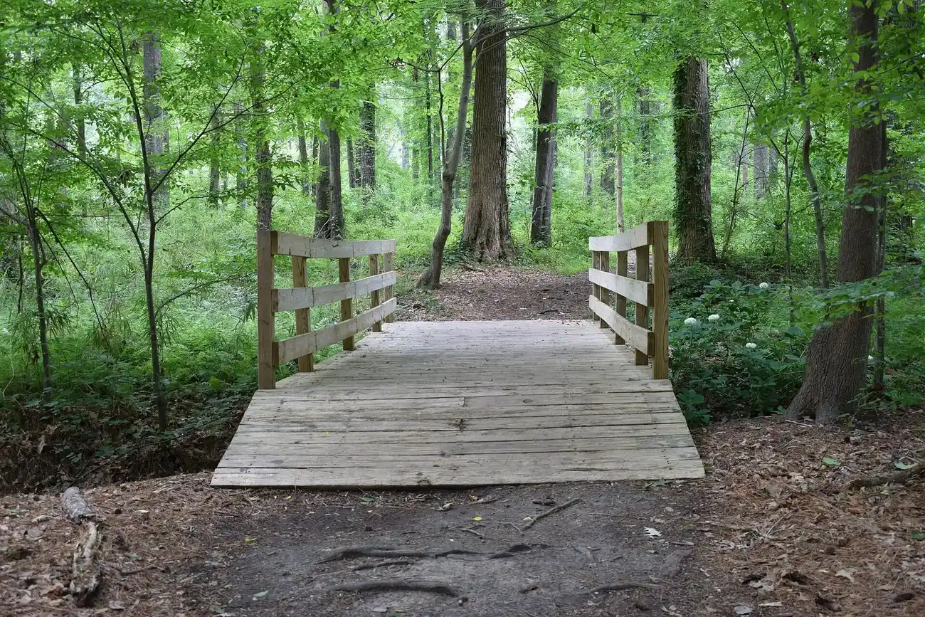 A footbridge in Red Wing Park on General Booth Boulevard in Virginia Beach.