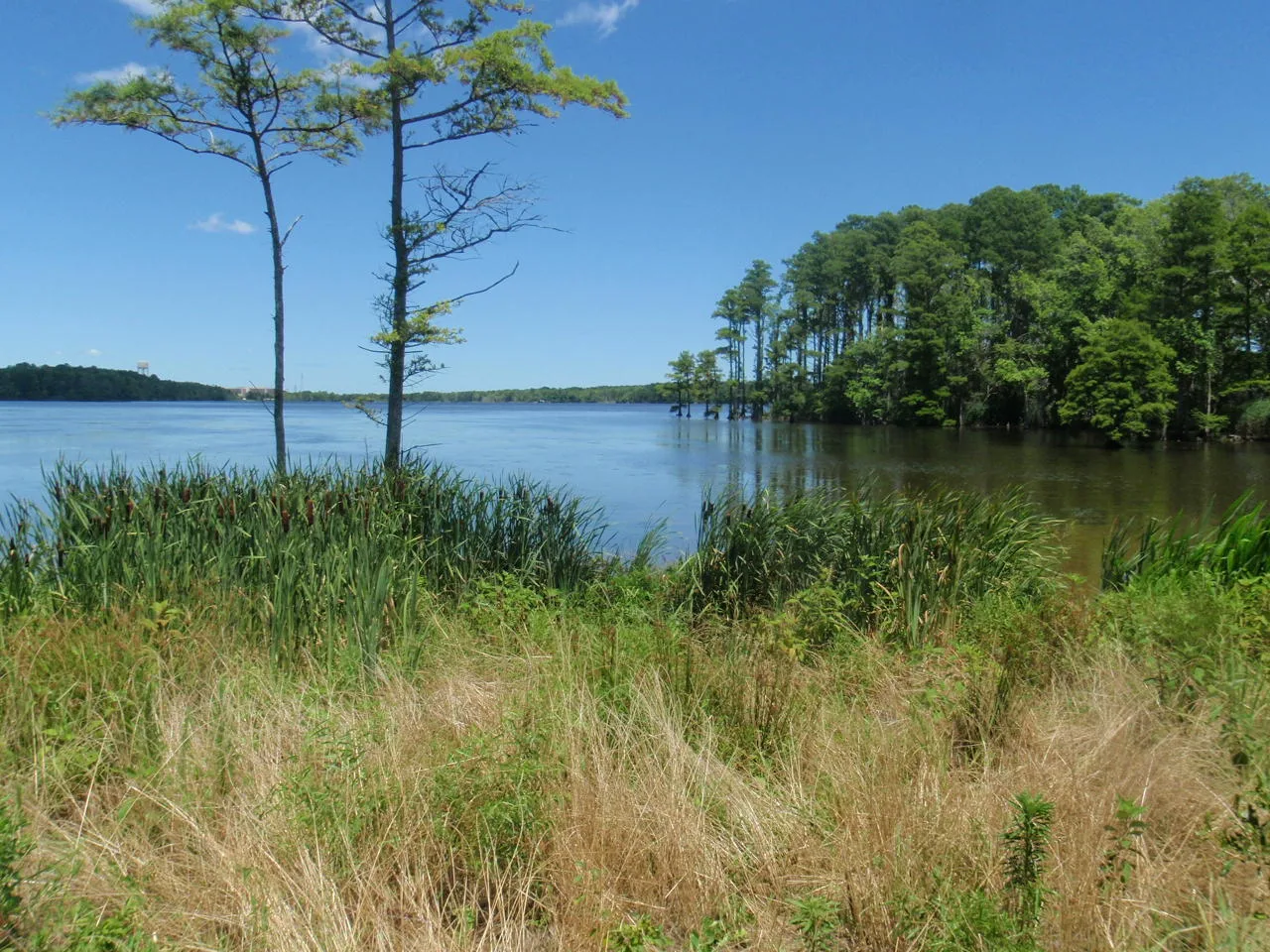 Lake Tecumseh in Virginia Beach.