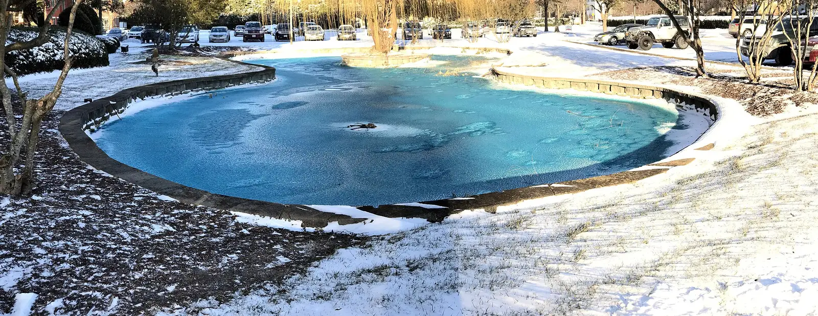 A frozen pond after a light snow in Virginia Beach.