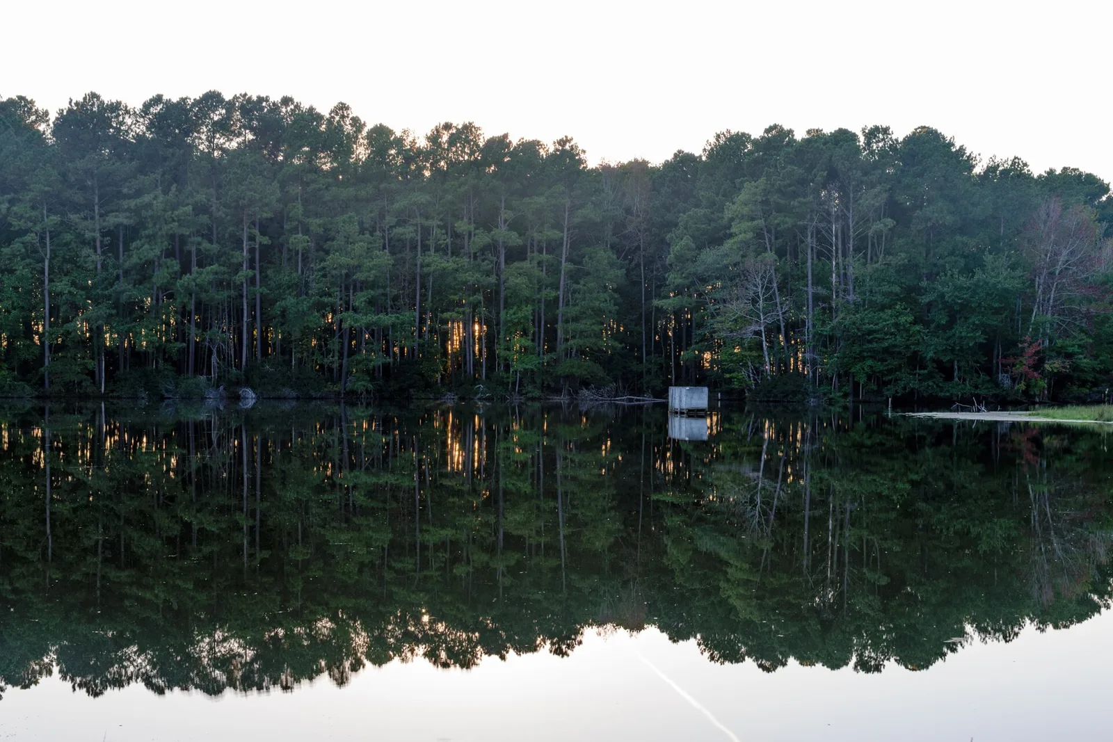 Oceana Pond in Virginia Beach.