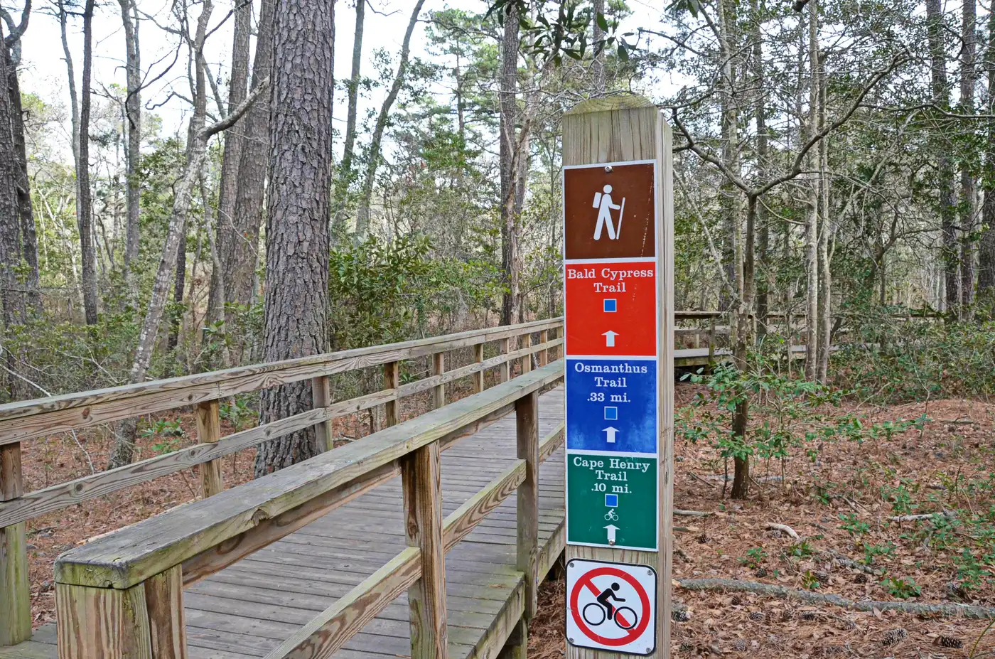 A boardwalk and trail marker where the Bald Cypress, Osmanthus and Cape Henry trails meet in First Landing State Park, Virginia Beach.